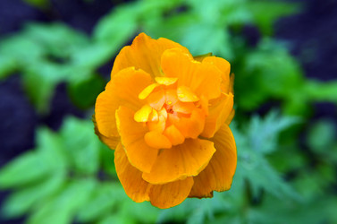 Similar image 6306972