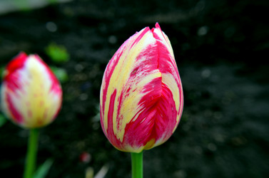 Similar image 6306973