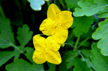 Similar image 6306974