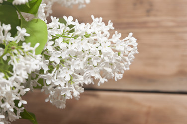 Similar image 6307059