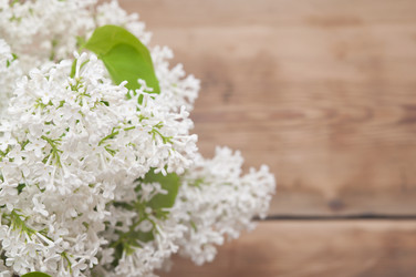 Similar image 6307062