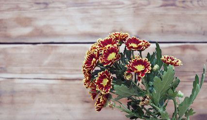 Similar image 6307065