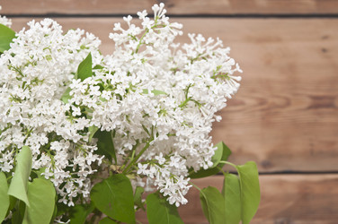 Similar image 6307067