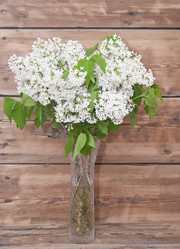 Similar image 6307074