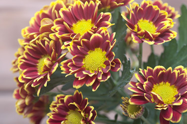 Similar image 6307077