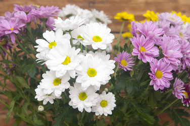 Similar image 6307081