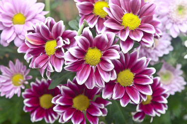 Similar image 6307087