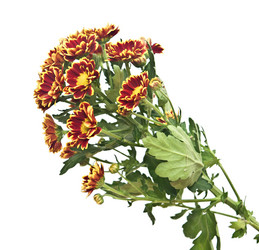 Similar image 6307091