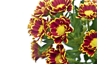 Similar image 6307092