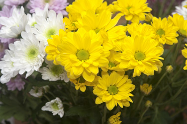 Similar image 6307094