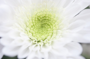 Similar image 6307098