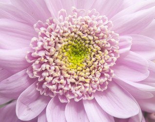 Similar image 6307100