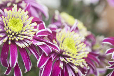 Similar image 6307102