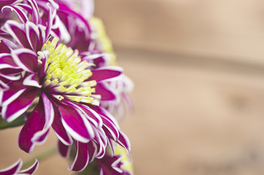 Similar image 6307103