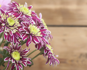 Similar image 6307104