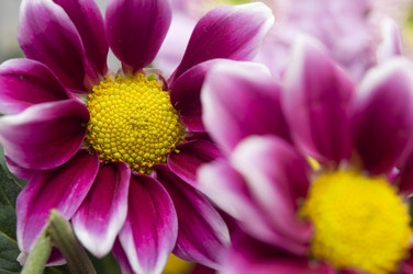 Similar image 6307107