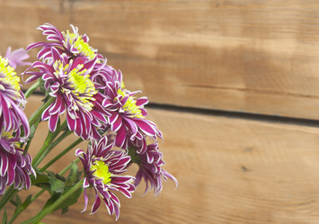 Similar image 6307111