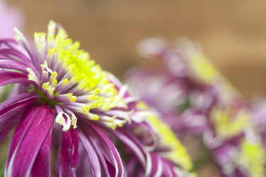 Similar image 6307112