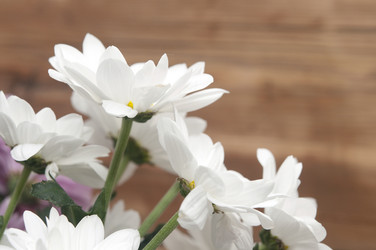 Similar image 6307114