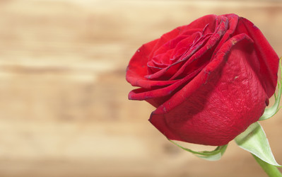 Similar image 6307128