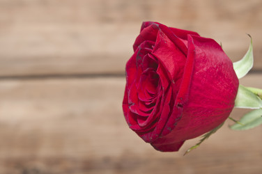 Similar image 6307129