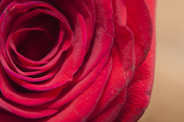 Similar image 6307130