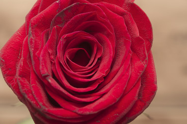 Similar image 6307131