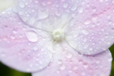 Similar image 6307139