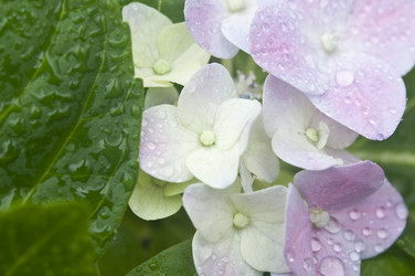 Similar image 6307142