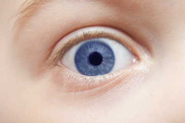 Similar image 6307145