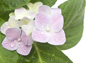 Similar image 6307146