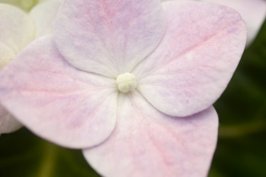 Similar image 6307147