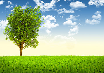 Similar image 6307197