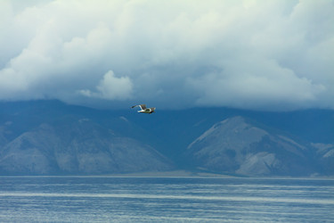 Similar image 6307216