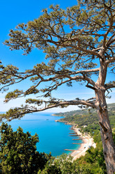 Similar image 6307628