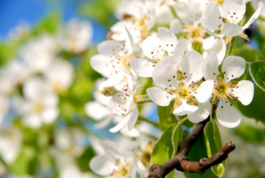 Similar image 6307660