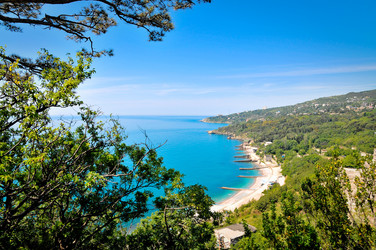 Similar image 6307662