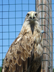 Similar image 6307677