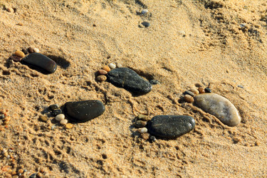 Similar image 6307682