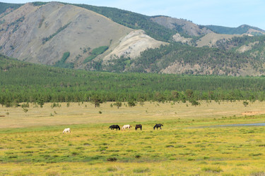 Similar image 6307683