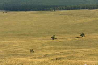 Similar image 6307686