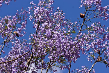 Similar image 6307706