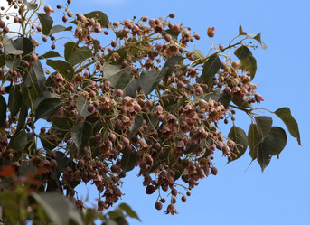 Similar image 6307707