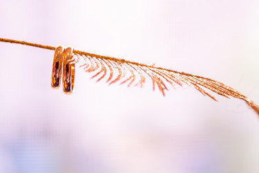 Similar image 6307709