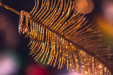 Similar image 6307710