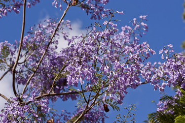 Similar image 6307720