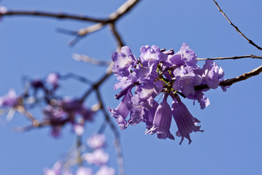 Similar image 6307721