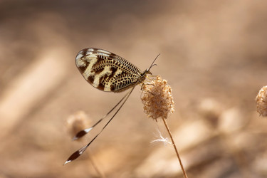 Similar image 6307722