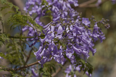 Similar image 6307723