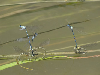 Similar image 6307725